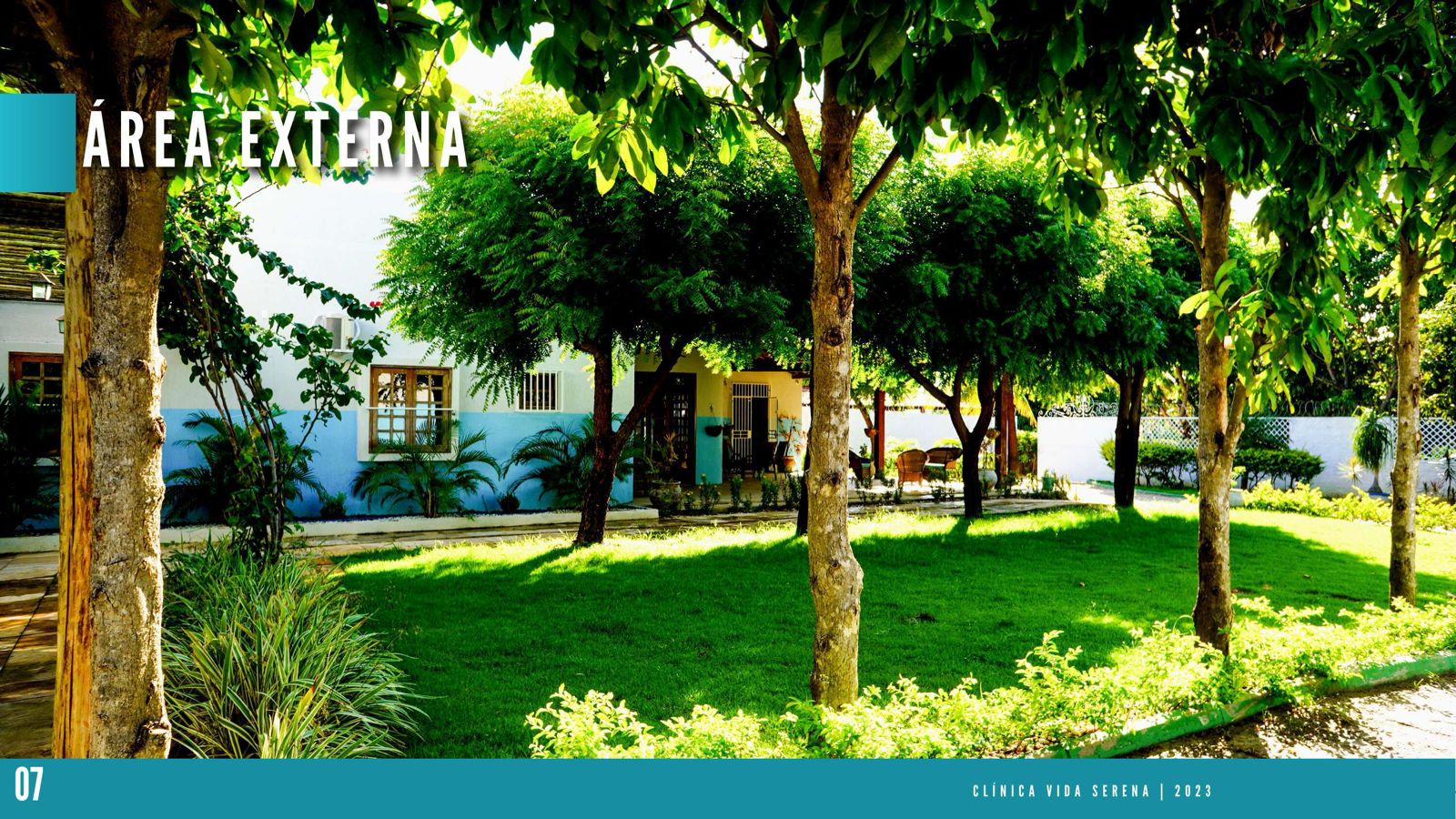 Jardim